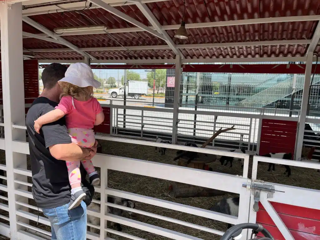 En la foto aparece Victoria en los brazos de su padre, están viendo animales dentro de un corral